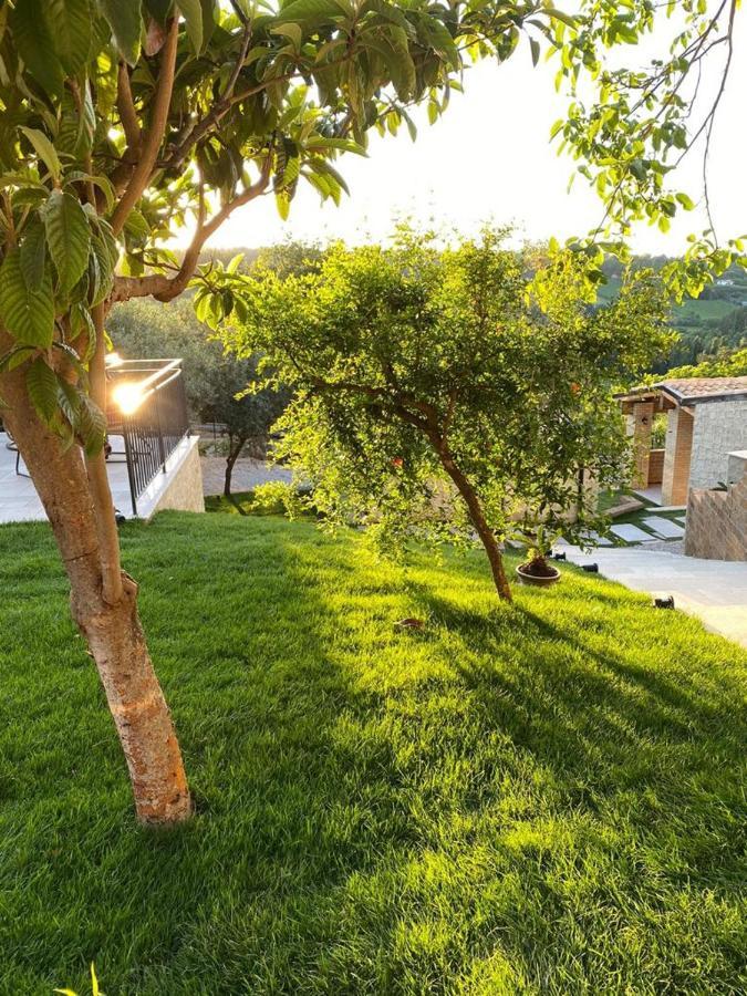 Отель Relais Frasimon Antico Casale Сан-Вито-Кьетино Экстерьер фото