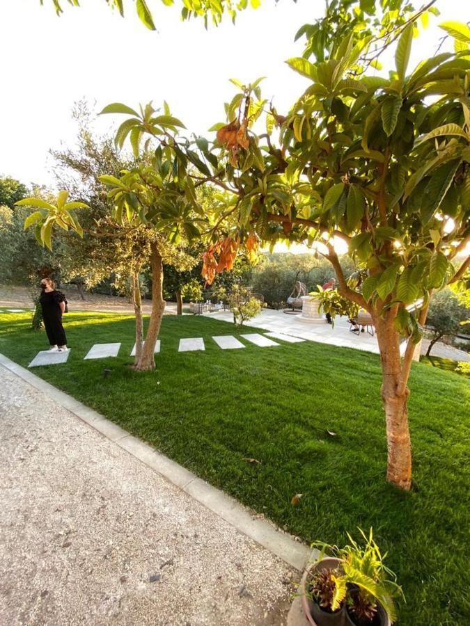 Отель Relais Frasimon Antico Casale Сан-Вито-Кьетино Экстерьер фото